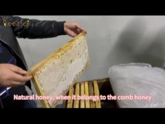 100% Organic Pure Raw Honey Natural Bee Honey from China Healthy Food