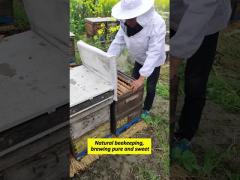 Natural Bee Honey