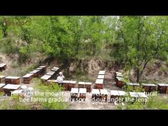 100% Organic Pure Raw Honey Natural Bee Honey from China Healthy Food