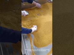 Natural Bee Honey