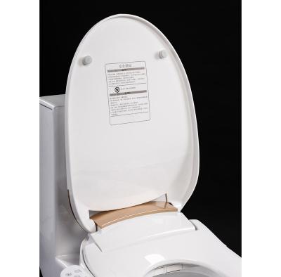 China Electronic GOLD COLOR/WHITE COLOR BIDETS SMART ELECTRONIC BIDET SEAT COVER W/2 SET ION FILTER for sale