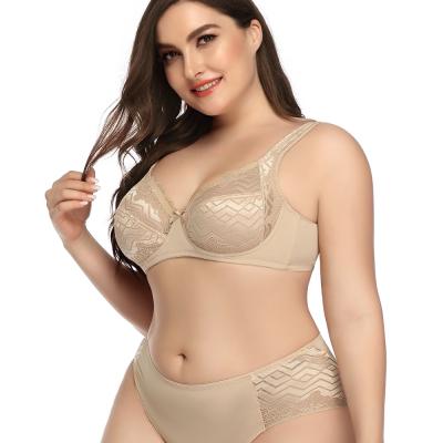 China Hot sale breathable bra and panty sets plus size push up bra and panty set for sale