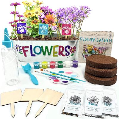 China Customized Kids Modern Unique Garden Seed Flower Diy Science Growing Kit For Girl Boy Gifts Ages 6+ for sale