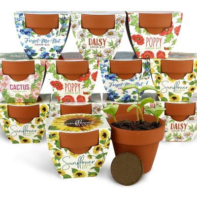 China Modern Customized Low Cost Mini Growing Kit With Terracotta Grow Pots And Different Kinds Of Soil Disc As Gift for sale