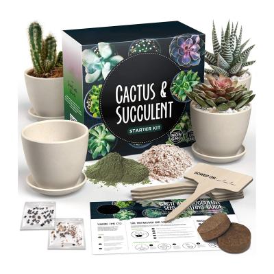 China Modern Premium DIY Gift Pack Adults Kids Cactus and Succulent Starter Kit with 4 Planters Drip Tray Markers for sale