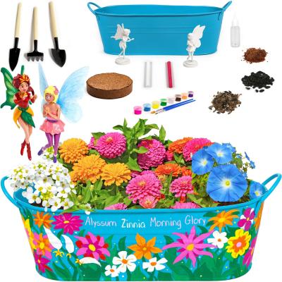 China Pastoral Fairy Initiator Kit Little Planters Paint Garden Bonsai and Plant Flowers with Real Flowers and Magical Fairies for sale