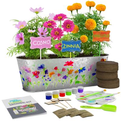 China Pastoral Paint and Plant Horticulture Kit - Kids Science Gardening Gifts for Girls and Boys Grow Your Own Cosmos Zinnia&Marigold Flowers for sale