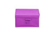 China Pretty Purple T-shirt / trousers / Sweater Organizer Clothes Storage Boxes For Wardrobes for sale