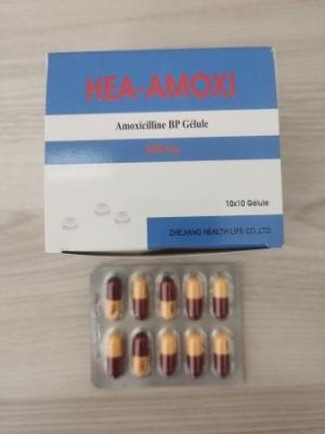 China Amoxicillin Tablets 250MG 500MG Antibiotic Medicines BP / USP for sale