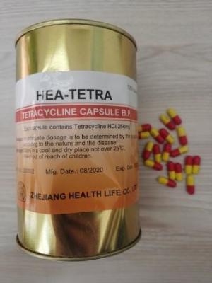 China Tetracycline HCL Capsules 250MG 500MG BP / USP Antibiotics Medicines for sale