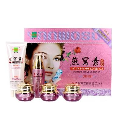 China Anti Aging Professional Supplier Custom Logo Popular Moisturizing Brightening Skin Care Set for sale