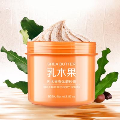 China Custom Exfoliator Organic Coconut Oil Cupuacu Butter Papaya Skin Care Relief Natural Spa Body Scrub for sale