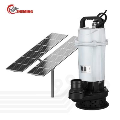 China Developing World Water Solutions 2 inch 48v600w0.8hp high lift large flow  irrigation pump agricultural pump brushless dc submersible solar pump for sale