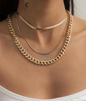 China TRENDY Simple Punk Chunky Bone Chain Snake Metal Chain Neck Chain Women Fashion Set Necklace for sale