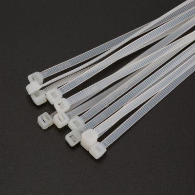 China Nylon Free Samples Zip Tie Self Lock Nylon Plastic Tie Cable Tie Black White 200mm for sale