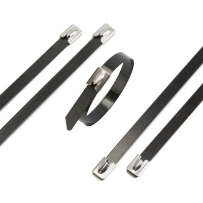 China SS304 JHCP4.6X300 Shipbuilding Metal Ball Lock Stainless Steel Cable Ties Nylon Coated for sale