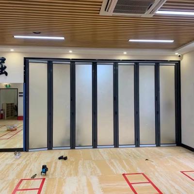 China Modern Customized Height Sliding Door Aluminum Narrow Side Folding Folding Doors For Houses for sale