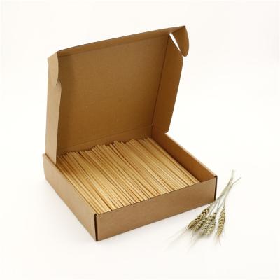 China 100% Biodegradable Eco-Friendly Disposable Compostable Wheat Straw Drinking Straw for sale