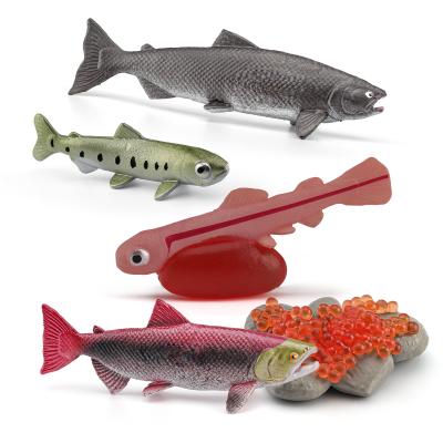 China 5 PCS Sea Marine Animal Figures Ocean Creatures Action Figure Models Life Cycle Salmon Fish Figurine for Boys Girls Kids for sale