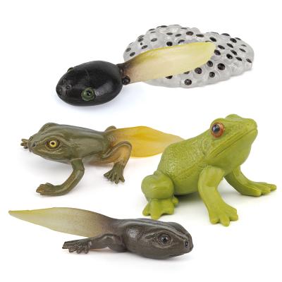 China 5 PCS Frog Animal Life Cycle Model Toy Cake Toppers Learning Development Toys for Boys Girls Kids for sale