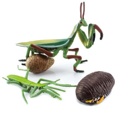 Cina 4 PCS Realistic Insect Mantis Animal Life Cycle Model Figure Cake Toppers Learning Development Toys per ragazzi ragazze bambini in vendita