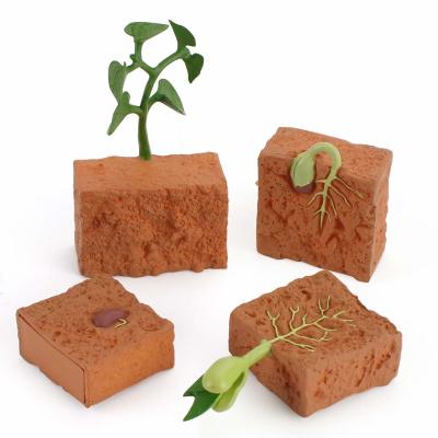 China 4 PCS Farm Plant Life Cycle Model Figure Cake Toppers Learning Development Toys For Boys Girls Kids for sale