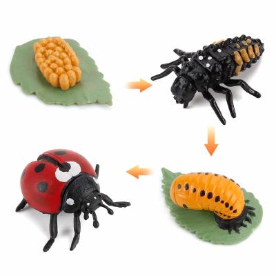 China 4 PCS Ladybird Animal Life Cycle Insect Growth Model Figure Cake Toppers Learning Development Toys For Boys Girls Kids for sale