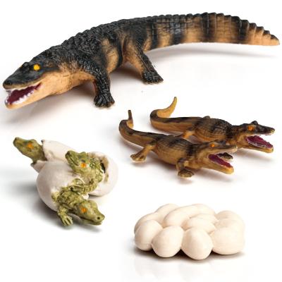 China 4 PCS Wild Tierfiguren Kreaturen Aktionsmodelle Lebenszyklus Krokodil Alligatorfiguren zu verkaufen