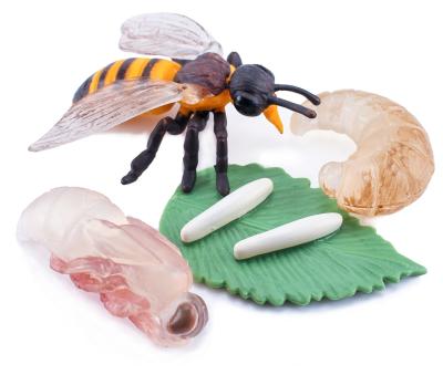 China Realista 4 PCS Ciclo de vida das abelhas Animais Insecto Modelo de crescimento Figura Toppers de bolo Brinquedos para menino menina criança à venda