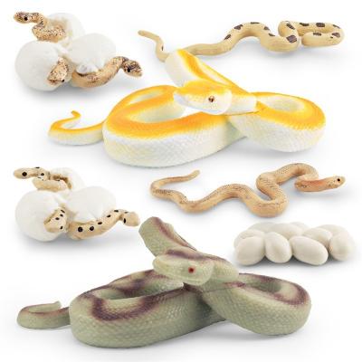 China Python Boa Life Cycle Figure Model Toy For Boys Girls Kids for sale