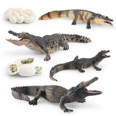 China Crocodile Alligator Life Cycle Figure Model Toy For Boys Girls Kids for sale