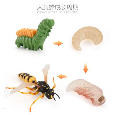 China Hornet Life Cycle Figure Model Toy For Boys Girls Kids for sale