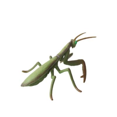 China Insect Figures Model Toy Mantis Figurines Party Favors Supplies Cake Toppers Decoration Set Toys for sale