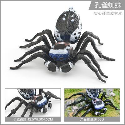 China Insect Figures Model Toy Peacock Spider Figurines Party Favors Supplies Cake Toppers Decoration Set Toys for sale