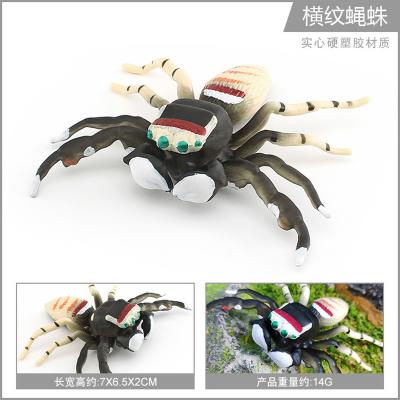 China Insect Figures Model Toy Fly Spider Figurines Party Favors Supplies Cake Toppers Decoration Set Toys for sale