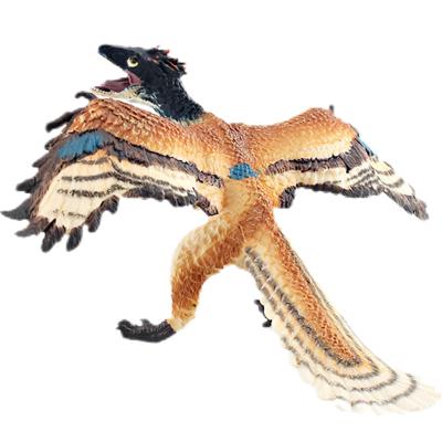 China Realistic Dinosaur Figure Model Toy Archaeopteryx Figureine - Educational Toy For Imaginative Play for sale