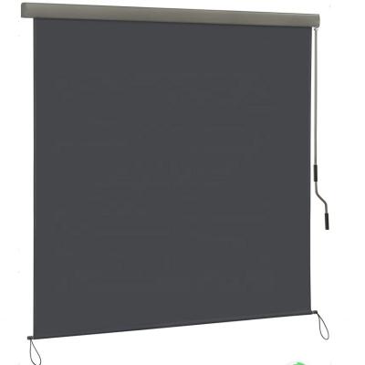 China Sun and Privacy Protection Extendable Outdoor Roller Blind with Hand Crank Mechanism for sale