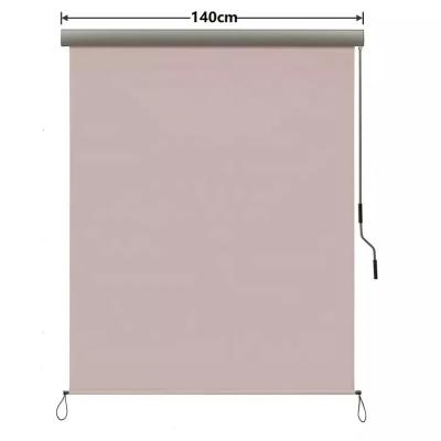 China Balcony Sun and Privacy Protection Hand Crank Mechanism Vertical Outdoor Roller Blind for sale