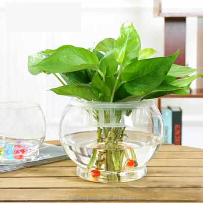 China Huasen Sustainable Clear Desktop Round Glass Vases Fish Bowl , Glass Mini Greenhouse For Plant for sale