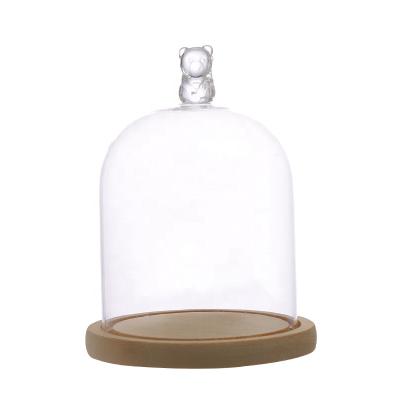 China Europe Clear Glass Cloche Bell Jar with Wooden Base and Raised Bear Handle Display Dome for Treasured Collectibles, Artificial Plant for sale