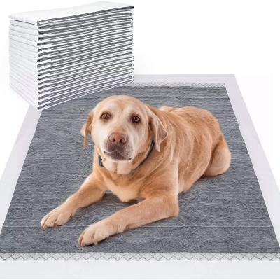 China Amazon Sustainable Wholesale Success Large Dog Pads Puppy Training Disposable Dog Pee Pad for sale