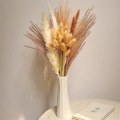 China Amazon Natural Hit Free Sample Touch PX1466 Dried Flower Pampas Grass For Party Decorations Home Decor for sale