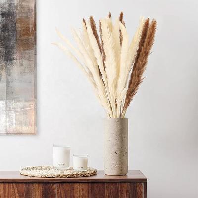 China Beautiful PX229 Sumflora Colorful Artificial Flower Dried Flower 15pcs Pampas 15pcs White Brown Small Pampas Grass Dry Flower For Decoration for sale