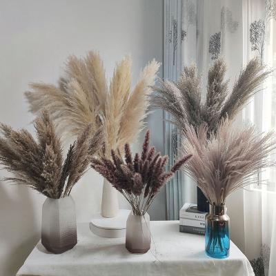 China Backdrop Wedding Home Decoration VPX834 Large Natural Dry Pampas Grass Extra Fluffy Beige Pampas For Flower Arrangements Wedding Decor for sale