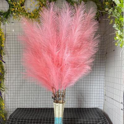 China Indoor Artificial Fake Cafe Decor Large Pampas Grass Rose Decoration PX1403 Dry Grass Beige Flower for sale