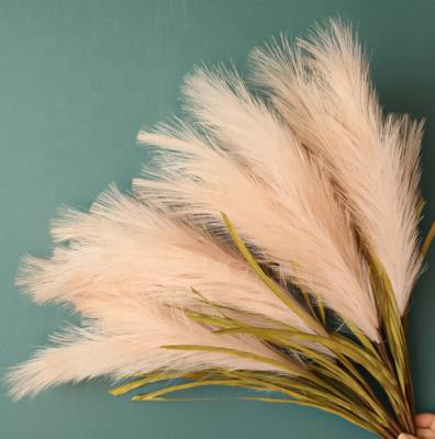 China PX832 Wholesale Silk Natural Dry Pampas Grass Weddings Decorative Home Decor Flowers 100cm Artificial Pampas Grass for sale