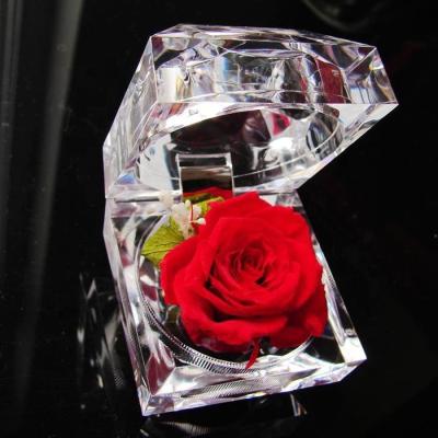 China Natural Fresh Rose PX1480 Ring Box Preserved Rose Flower in Acrylic Luxury Rose Box Proposal Ring Wedding Valentine's Day Gifts Jewelry for sale