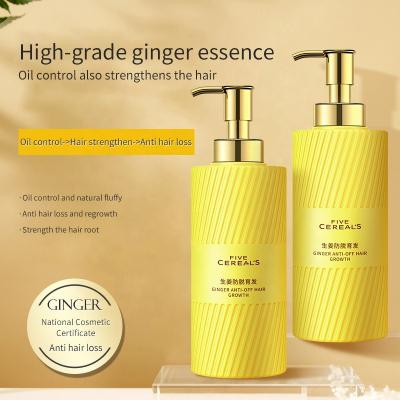 China Ginger Hair Growth Shampoo Oil Control Anti Dandruff Hair Loss Prevention Anti Loss Hair Loss Shampoo for sale