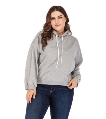 China xxxxxl Oversized Custom Pullover Plus Size Women Gray Plain Cotton Hoodie for sale