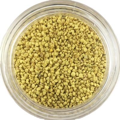 China large grain rape pollen hybrid bee pollen 620x310x215(mm) high potency tea pollen for sale